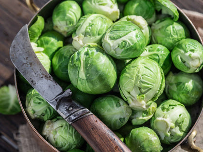 BRUSSELLS SPROUTS