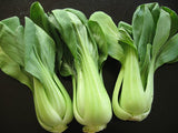 CABBAGE BABY PAK CHOI (ORGANIC)