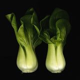 CABBAGE BABY PAK CHOI (ORGANIC)