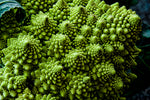 BROCCOLI ROMANESCO