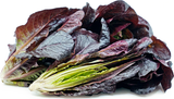 LETTUCE SUPER RED ROMAINE