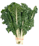 SWISS CHARD FORDHOOK GIANT