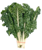 SWISS CHARD FORDHOOK GIANT