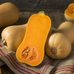 WINTER SQUASH WALTHAM BUTTERNUT