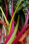 SWISS CHARD RAINBOW