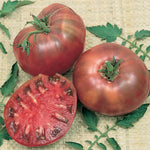 TOMATO CHEROKEE PURPLE