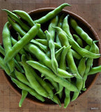 BUSH GREEN BEAN ROMA II