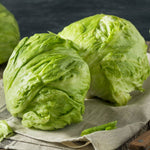 LETTUCE CRISPHEAD ICEBERG