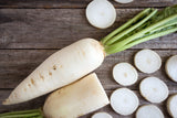 RADISH DAIKON SPROUTING