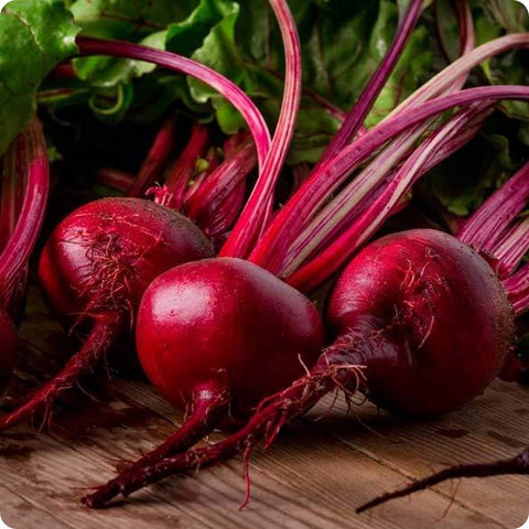 BEET DETROIT DARK RED