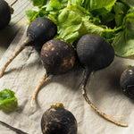 RADISH BLACK SPANISH ROUND