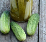 CUCUMBER PICKILNG HOMEMADE PICKLES