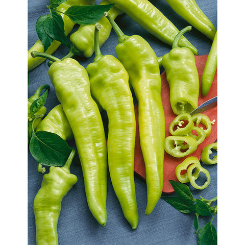 PEPPER HOT HUNGARIAN YELLOW HOT WAX