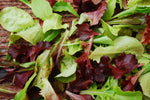 LETTUCE MIXED GOURMET GREENS