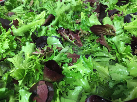 LETTUCE MIXED GOURMET GREENS ORGANIC GREAT SALAD MIX! VERY EASY TO GROW AS WELL!