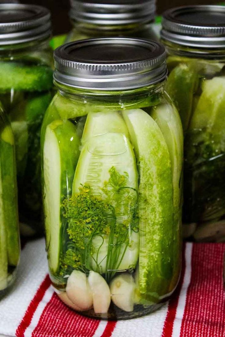 CUCUMBER PICKILNG NATIONAL PICKLING CUCUMBER – Frontier Seeds