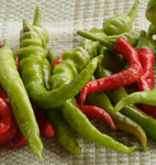 PEPPER ITALIAN SWEET PEPPERONCINI