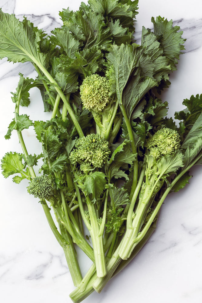 BROCCOLI RAAB SPRING RAPINI ORGANIC – Frontier Seeds