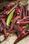 OKRA RED BURGUNDY