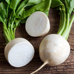 RADISH HAILSTONE