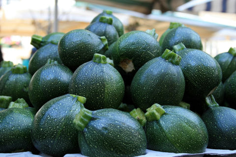 SUMMER SQUASH ROUND ZUCCHINI