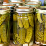 CUCUMBER WISCONSIN SMR58 PICKLING