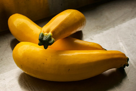 SUMMER SQUASH GOLDEN ZUCCHINI