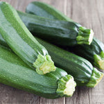 SUMMER SQUASH ZUCCHINI BLACK BEAUTY