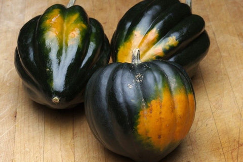 WINTER SQUASH TABLE QUEEN ACORN