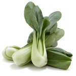 CABBAGE BABY PAK CHOI