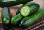 CUCUMBER BEIT ALPHA CMR/MMR