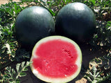 WATERMELON BLACK DIAMOND