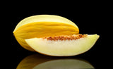 CANARY MELON JUANE