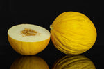 CASABA MELON GOLDEN BEAUTY