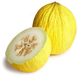 CASABA MELON GOLDEN BEAUTY