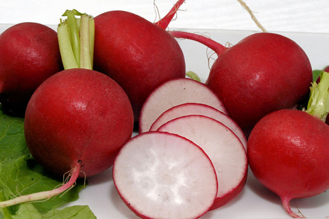 RADISH CHAMPION