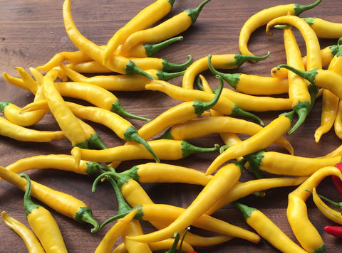 PEPPER HOT GOLDEN CAYENNE