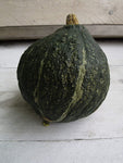 WINTER SQUASH GREEN HUBBARD