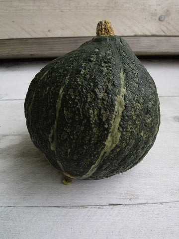 WINTER SQUASH GREEN HUBBARD