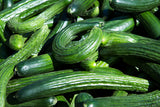 CUCUMBER METKI DARK GREEN ARMENIAN