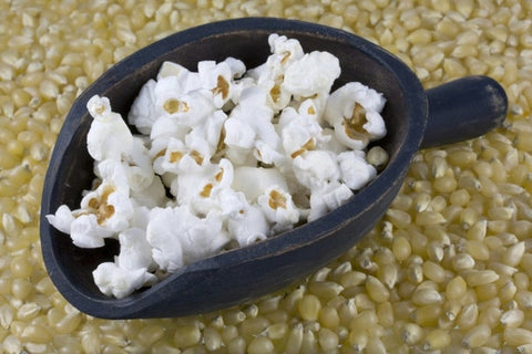 CORN JAPANESE HULLESS POPCORN