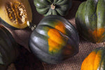 WINTER SQUASH TABLE KING ACORN