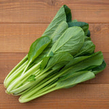 MUSTARD GREENS (KOMATSUNA) SPINACH TENDERGREEN