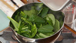 MUSTARD GREENS (KOMATSUNA) SPINACH TENDERGREEN