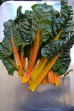 SWISS CHARD ORANGE