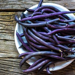 BUSH GREEN BEANS ROYALTY PURPLE POD ORGANIC