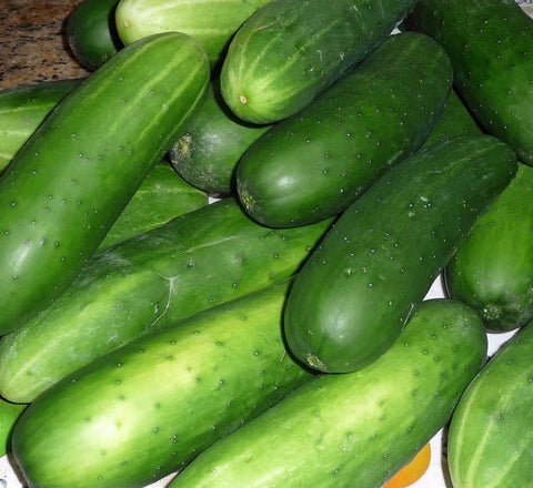 CUCUMBER STRAIGHT 8