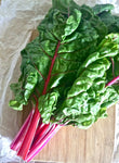 SWISS CHARD PINK